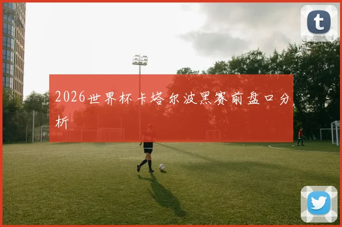 2026世界杯卡塔尔波黑赛前盘口分析