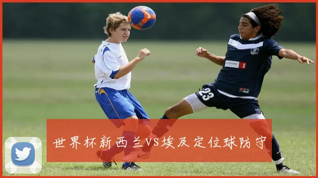 世界杯新西兰vs埃及定位球防守