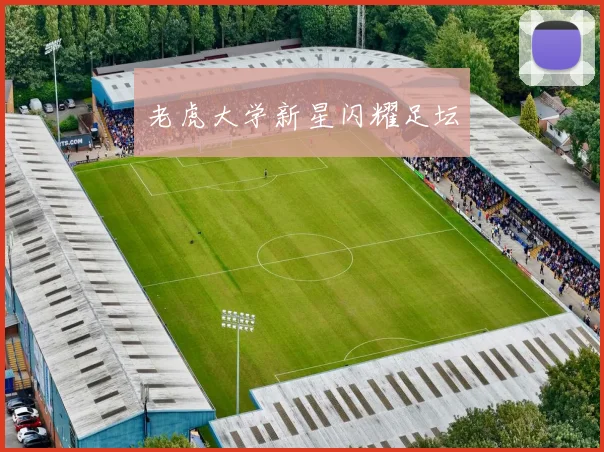 老虎大学新星闪耀足坛