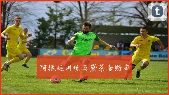 阿根廷训练马黛茶壶赔率