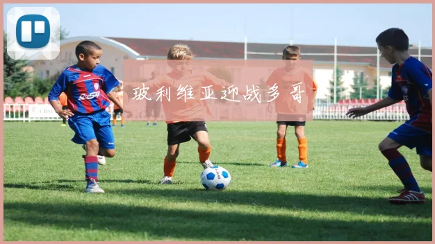 玻利维亚迎战多哥