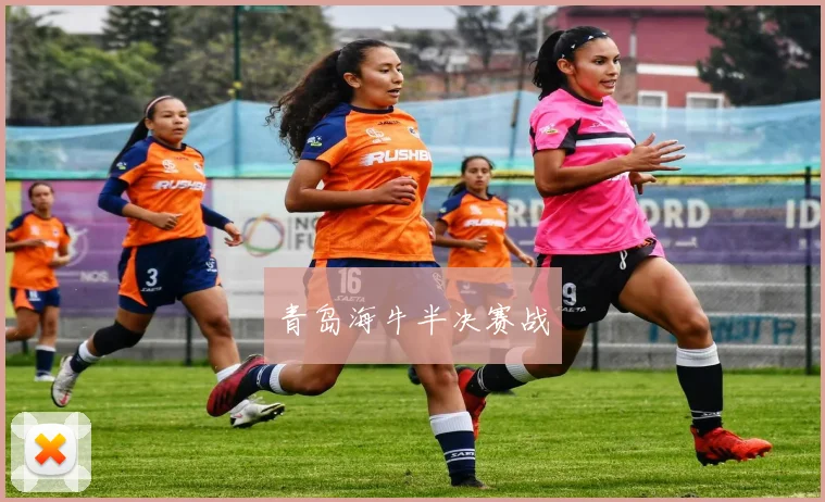 青岛海牛半决赛战
