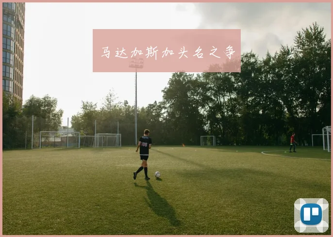 马达加斯加头名之争