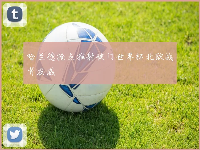 哈兰德抢点推射破门世界杯北欧战斧发威