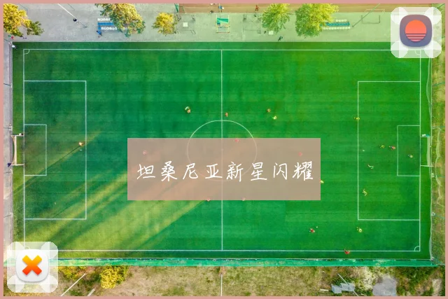 坦桑尼亚新星闪耀