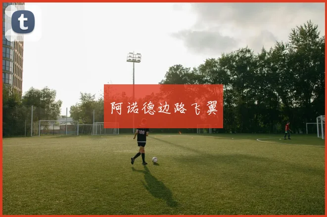 阿诺德边路飞翼