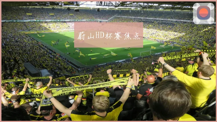 蔚山HD杯赛焦点