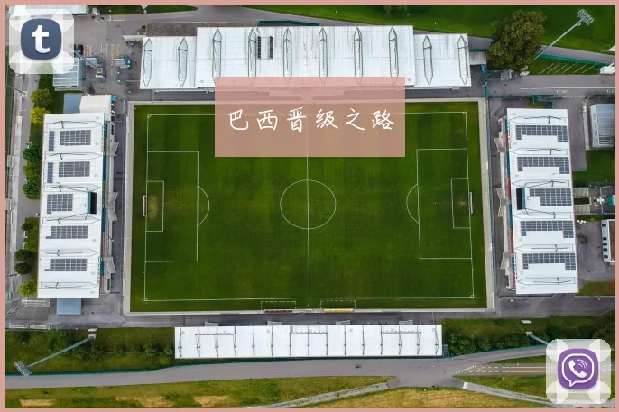 巴西晋级之路