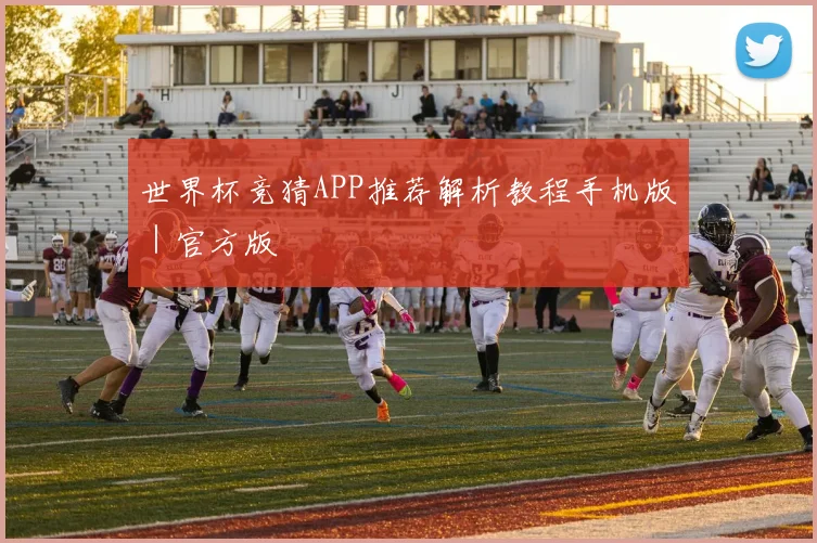 世界杯竞猜APP推荐解析教程手机版｜官方版