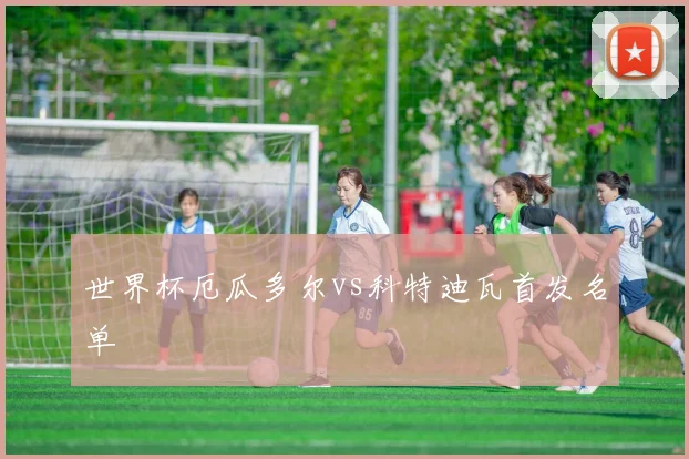 世界杯厄瓜多尔vs科特迪瓦首发名单