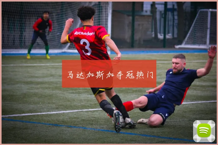 马达加斯加夺冠热门