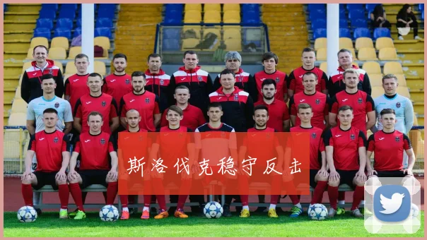 斯洛伐克稳守反击