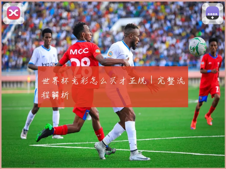 世界杯竞彩怎么买才正规｜完整流程解析