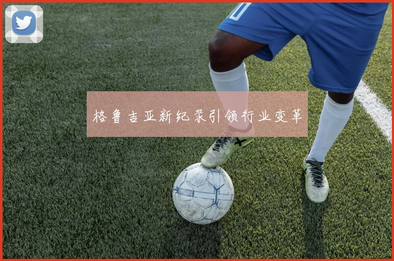 格鲁吉亚新纪录引领行业变革