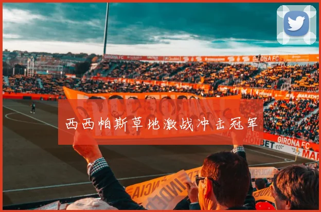 西西帕斯草地激战冲击冠军