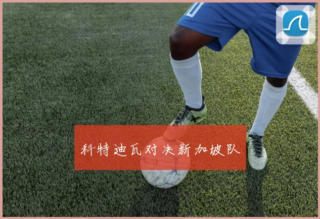 科特迪瓦对决新加坡队