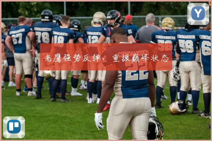 老鹰强势反弹，重振巅峰状态