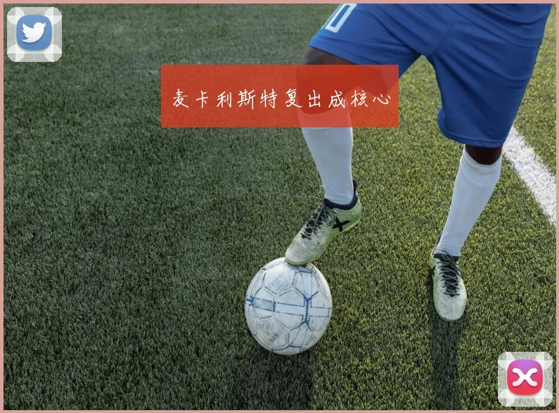 麦卡利斯特复出成核心