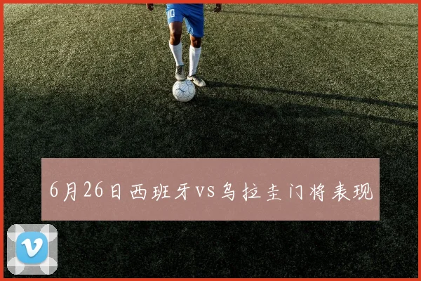 6月26日西班牙vs乌拉圭门将表现